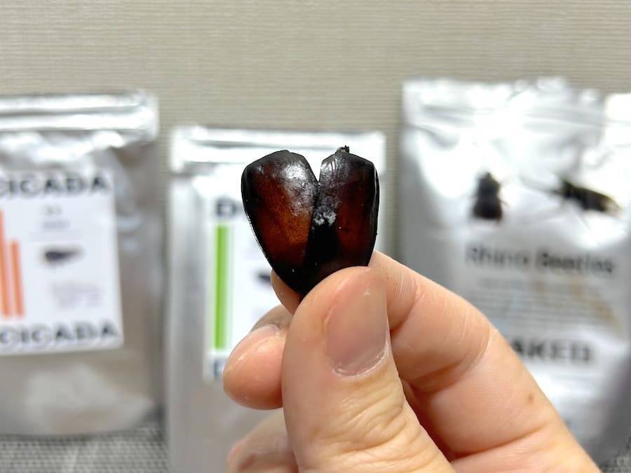 覚悟して食べた昆虫食　セミ・ゴキブリ・カブトムシの中で一番おいしかったのは？