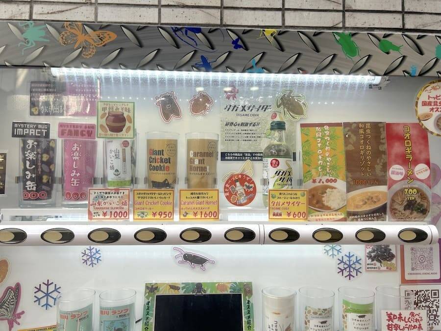 覚悟して食べた昆虫食　セミ・ゴキブリ・カブトムシの中で一番おいしかったのは？