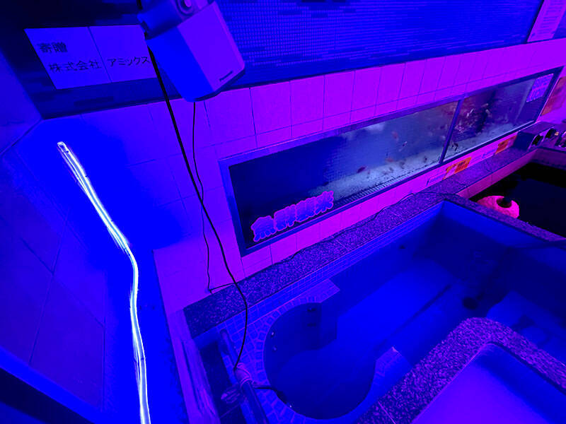 違和感満載のサイケな銭湯でほっこり入浴　蒲田で開催「脳汁銭湯」体験レポート