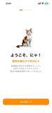 「「エビとして生きるのかにゃ？」　猫が叱る猫背改善アプリが話題」の画像2