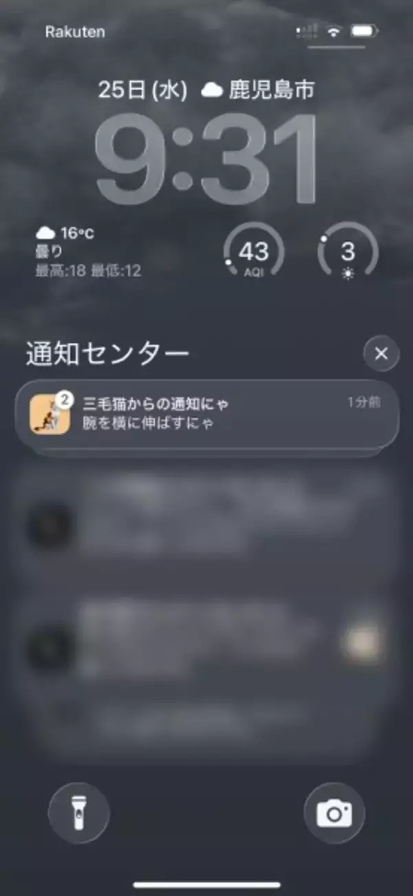 「「エビとして生きるのかにゃ？」　猫が叱る猫背改善アプリが話題」の画像