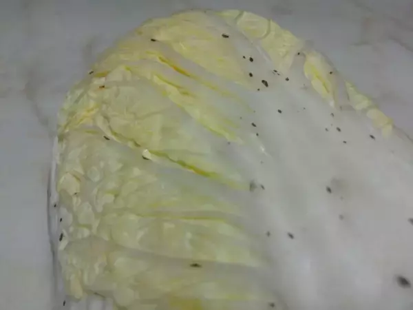 白菜の黒い斑点はポリフェノールだった　農林水産省が「捨てないで」と呼びかけ