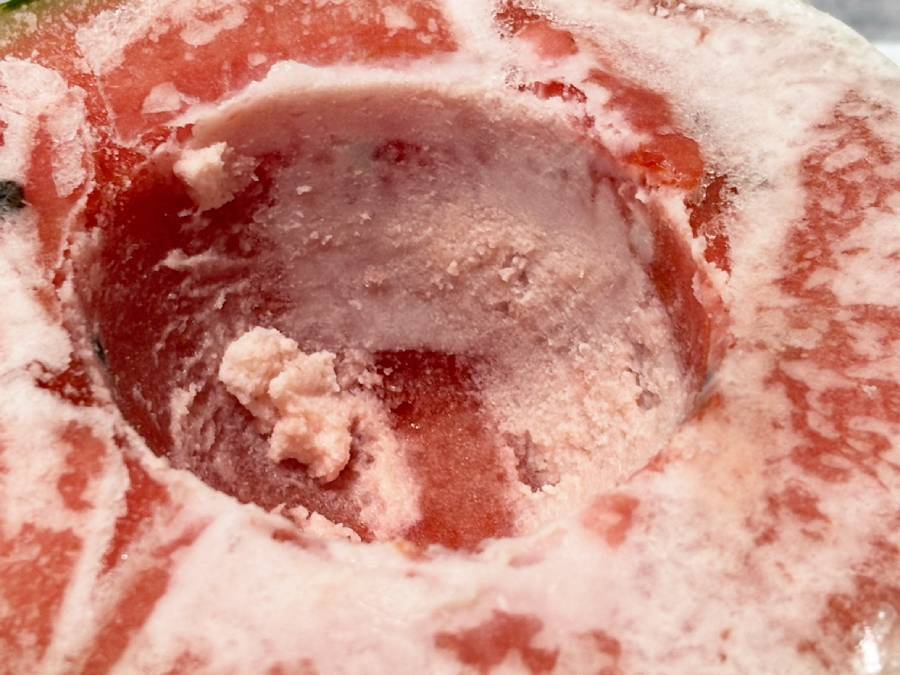材料は2つだけ！海外SNSで大バズり中の「冷凍スイカアイス」に挑戦