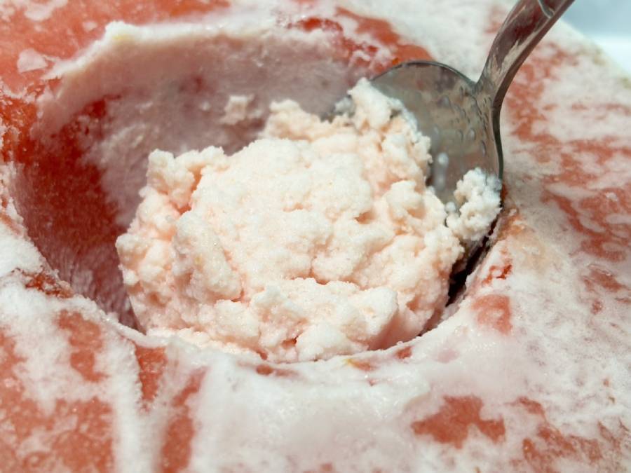 材料は2つだけ！海外SNSで大バズり中の「冷凍スイカアイス」に挑戦