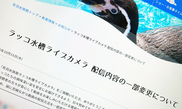 鳥羽水族館、ラッコ配信で“飼育係モザイク化”　カスハラ対策で映像方法変更