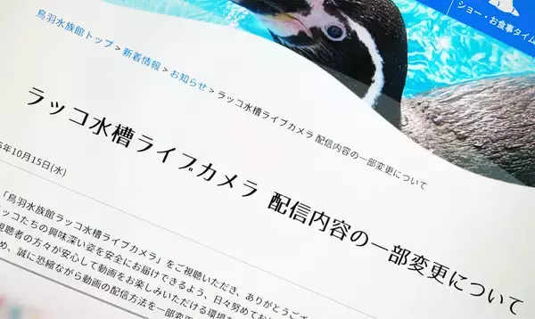 鳥羽水族館、ラッコ配信で“飼育係モザイク化”　カスハラ対策で映像方法変更