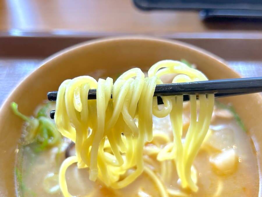 すき家新メニュー「とん汁みそらーめん」がおいしい！でも言いたいこともある