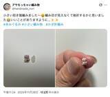 「どうやって編むの……？人の手が成し遂げた“米粒大の編みぐるみ”がすごすぎる」の画像1