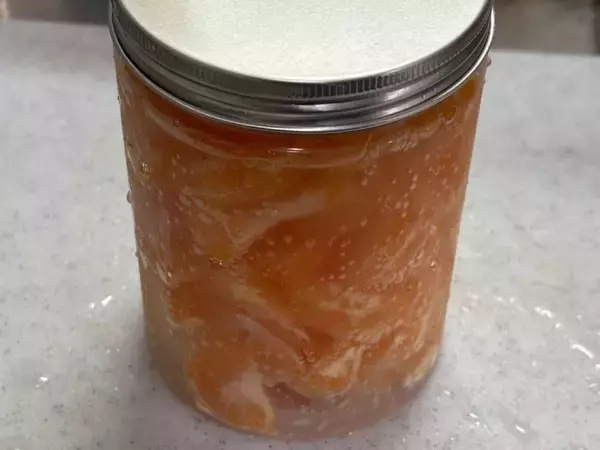 「SNSでバズった「炭酸みかん」作ってみた　みかんがシュワシュワの新食感デザートに」の画像