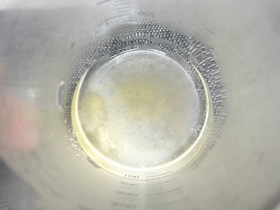 麦茶がビールそっくりに変身　伊藤園の「泡ふわむぎ茶」を実際に作ってみた