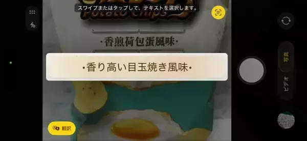 「脳がバグるレベルの再現度　「目玉焼きチップス」が完全に目玉焼き味だった」の画像