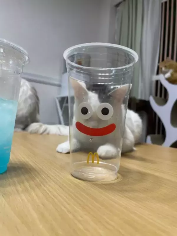 「猫スライム」があらわれた！マクドナルド×ドラクエのカップを使った顔ハメがかわいすぎる