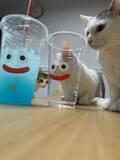 「「猫スライム」があらわれた！マクドナルド×ドラクエのカップを使った顔ハメがかわいすぎる」の画像2