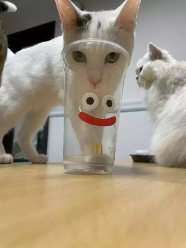 「「猫スライム」があらわれた！マクドナルド×ドラクエのカップを使った顔ハメがかわいすぎる」の画像
