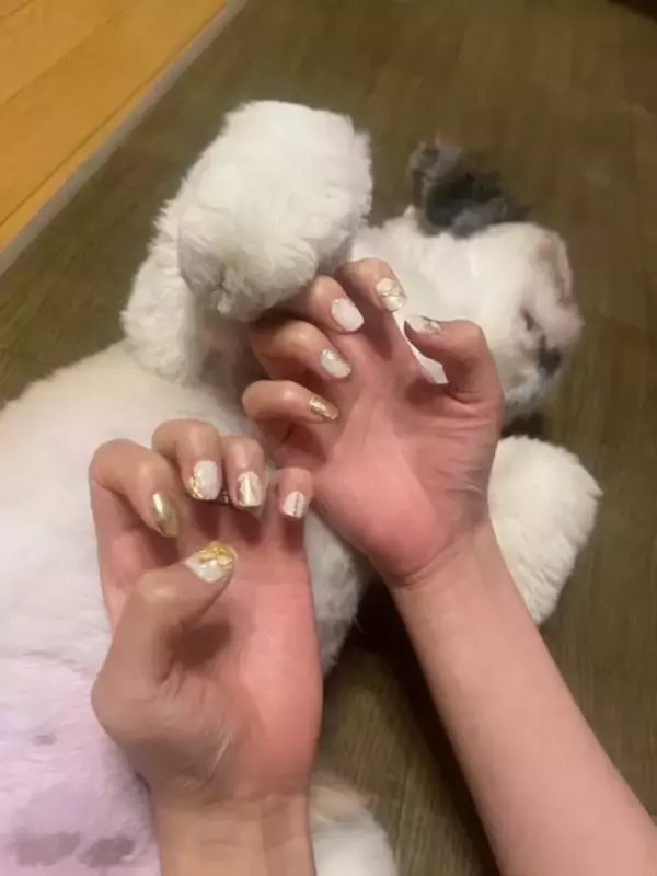 「映えるネイル写真の秘密はワンちゃんだった？意外過ぎた撮影の裏側」の画像