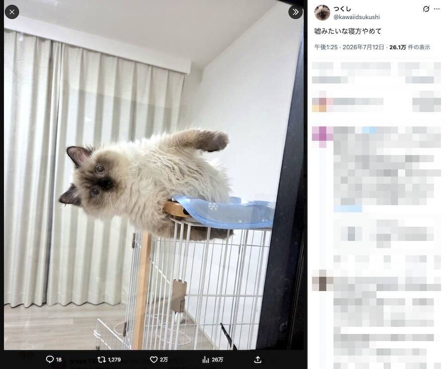 どうしてこうなった？　ケージから豪快にはみ出す猫の寝姿に「重力無視！」
