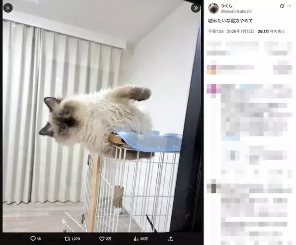「どうしてこうなった？　ケージから豪快にはみ出す猫の寝姿に「重力無視！」」の画像