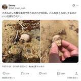 「海辺で3度拾った頭だけルパン　不気味すぎるフィギュアの正体は”昭和のハズレ景品”」の画像2