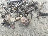 「海辺で3度拾った頭だけルパン　不気味すぎるフィギュアの正体は”昭和のハズレ景品”」の画像5