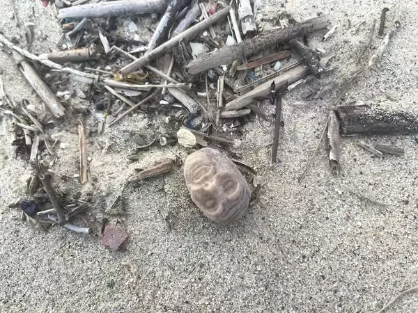 「海辺で3度拾った頭だけルパン　不気味すぎるフィギュアの正体は”昭和のハズレ景品”」の画像