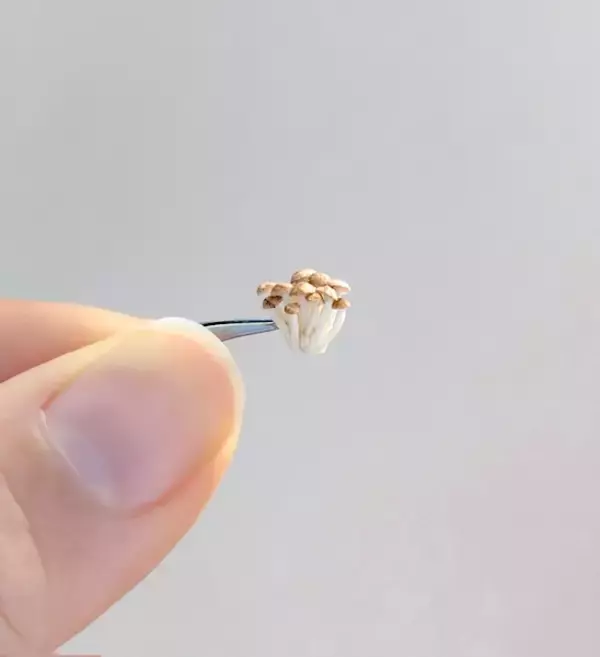 刺繍糸を固めたら「ぶなしめじ」になった　リアルすぎる立体作品が話題