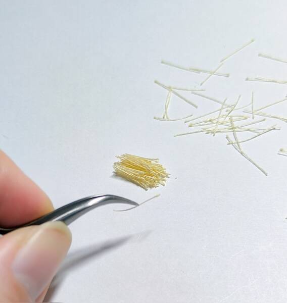 刺繍糸を固めたら「ぶなしめじ」になった　リアルすぎる立体作品が話題