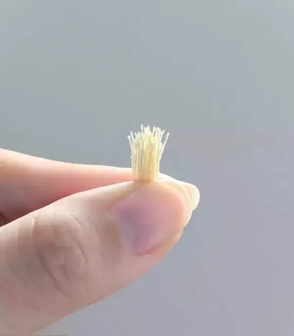 「刺繍糸を固めたら「ぶなしめじ」になった　リアルすぎる立体作品が話題」の画像