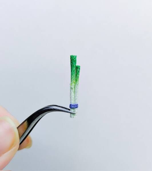 刺繍糸を固めたら「ぶなしめじ」になった　リアルすぎる立体作品が話題