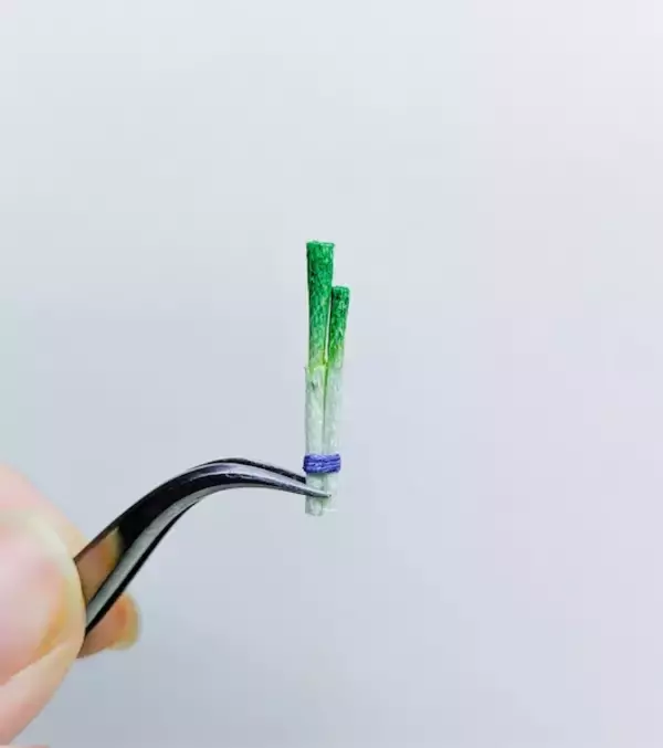 「刺繍糸を固めたら「ぶなしめじ」になった　リアルすぎる立体作品が話題」の画像