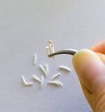 「刺繍糸を固めたら「ぶなしめじ」になった　リアルすぎる立体作品が話題」の画像8