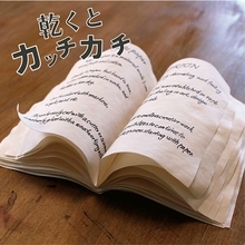 濡れるとフニャフニャ→乾くとカチカチ　創作の幅を広げる「ミスティックペーパー」の魅力
