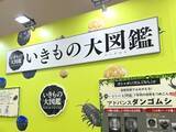「ガシャポンの魅力＆世界観を全身で体感！「ガシャポンに超夢中展2025」内覧会レポ」の画像17
