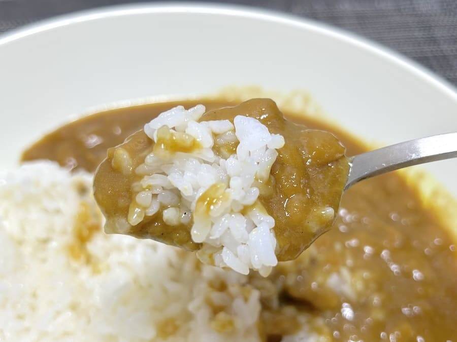 カレーなのに家系すぎる　ニンニク全振りの「横浜家系カレー」がヤバい