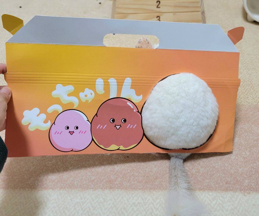 もっちゅりんならぬ「毛っちゅりん」！？チンチラのお尻がミスドの箱にシンデレラフィット