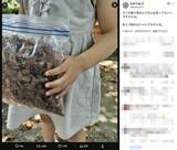 「大人は悲鳴、子どもは歓声　大量のセミの抜け殻に「なんぼあってもいいですから」」の画像2