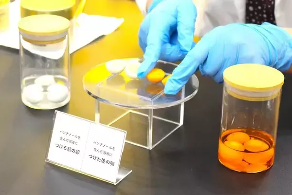 「パンテーン80年の研究が明らかにした「髪を修復する力」　新製品発表会レポート」の画像