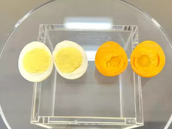 「パンテーン80年の研究が明らかにした「髪を修復する力」　新製品発表会レポート」の画像