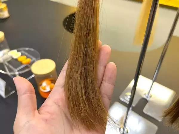 「パンテーン80年の研究が明らかにした「髪を修復する力」　新製品発表会レポート」の画像