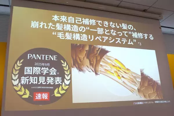 「パンテーン80年の研究が明らかにした「髪を修復する力」　新製品発表会レポート」の画像