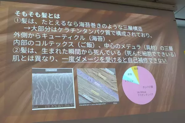 「パンテーン80年の研究が明らかにした「髪を修復する力」　新製品発表会レポート」の画像