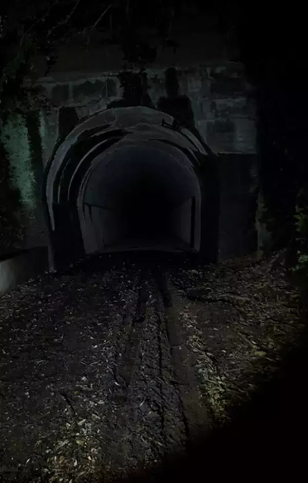 「“行方不明”がテーマの展覧会、7月19日から東京・日本橋で開催」の画像