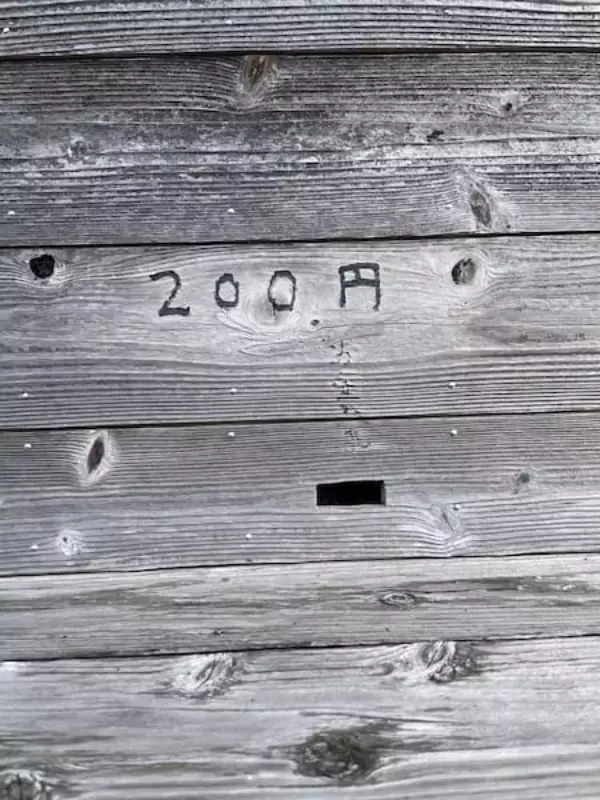 「三重県御浜町ではなぜ大量の100円玉が必要？公式Xが出題したクイズに注目」の画像