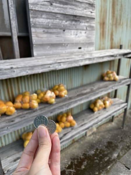 三重県御浜町ではなぜ大量の100円玉が必要？公式Xが出題したクイズに注目