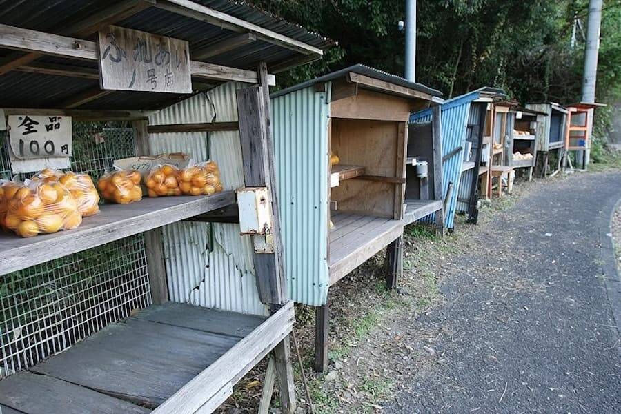 三重県御浜町ではなぜ大量の100円玉が必要？公式Xが出題したクイズに注目