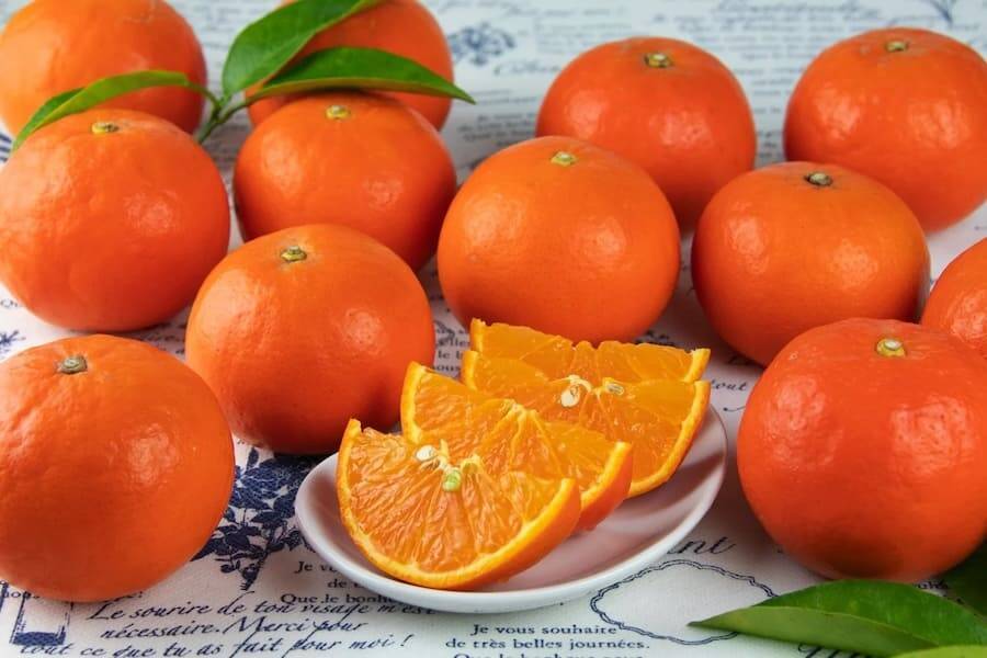 三重県御浜町ではなぜ大量の100円玉が必要？公式Xが出題したクイズに注目