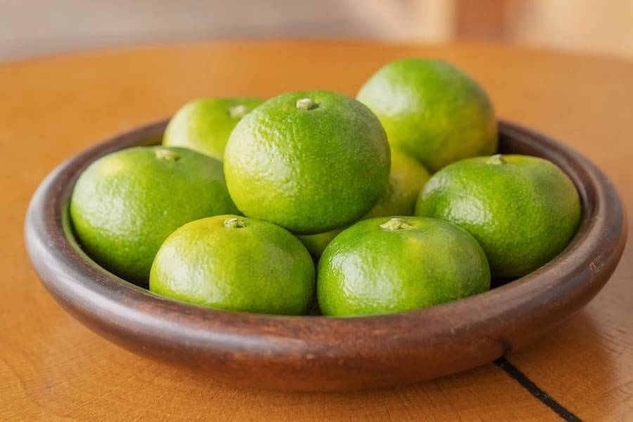 三重県御浜町ではなぜ大量の100円玉が必要？公式Xが出題したクイズに注目