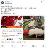 「越境ECでブランケット買ったら“毛糸の山”届いた　怒りのXユーザー「だるいけど編んだるわボケ」」の画像1