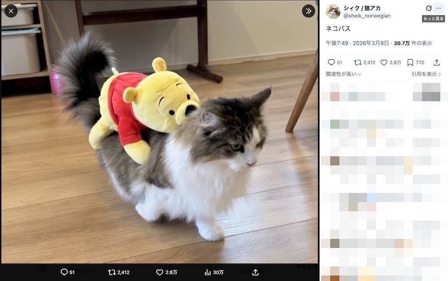 一般家庭に現れた「ねこバス」が話題　乗客は1人、でも手は抜かない……