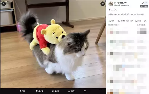 「一般家庭に現れた「ねこバス」が話題　乗客は1人、でも手は抜かない……」の画像