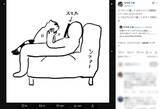 「猫を両手でもふもふする主観動画、どうやって撮ってるの？そこには飼い主の涙ぐましい執念があった」の画像1